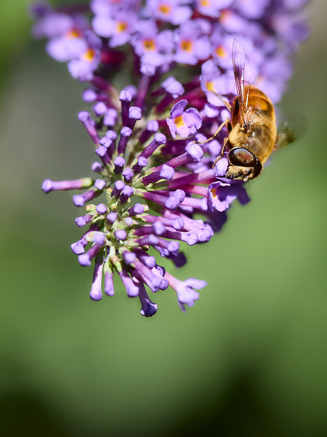 Zenfolio | Fine Art Photography by Dana Bibeault | Portfolio